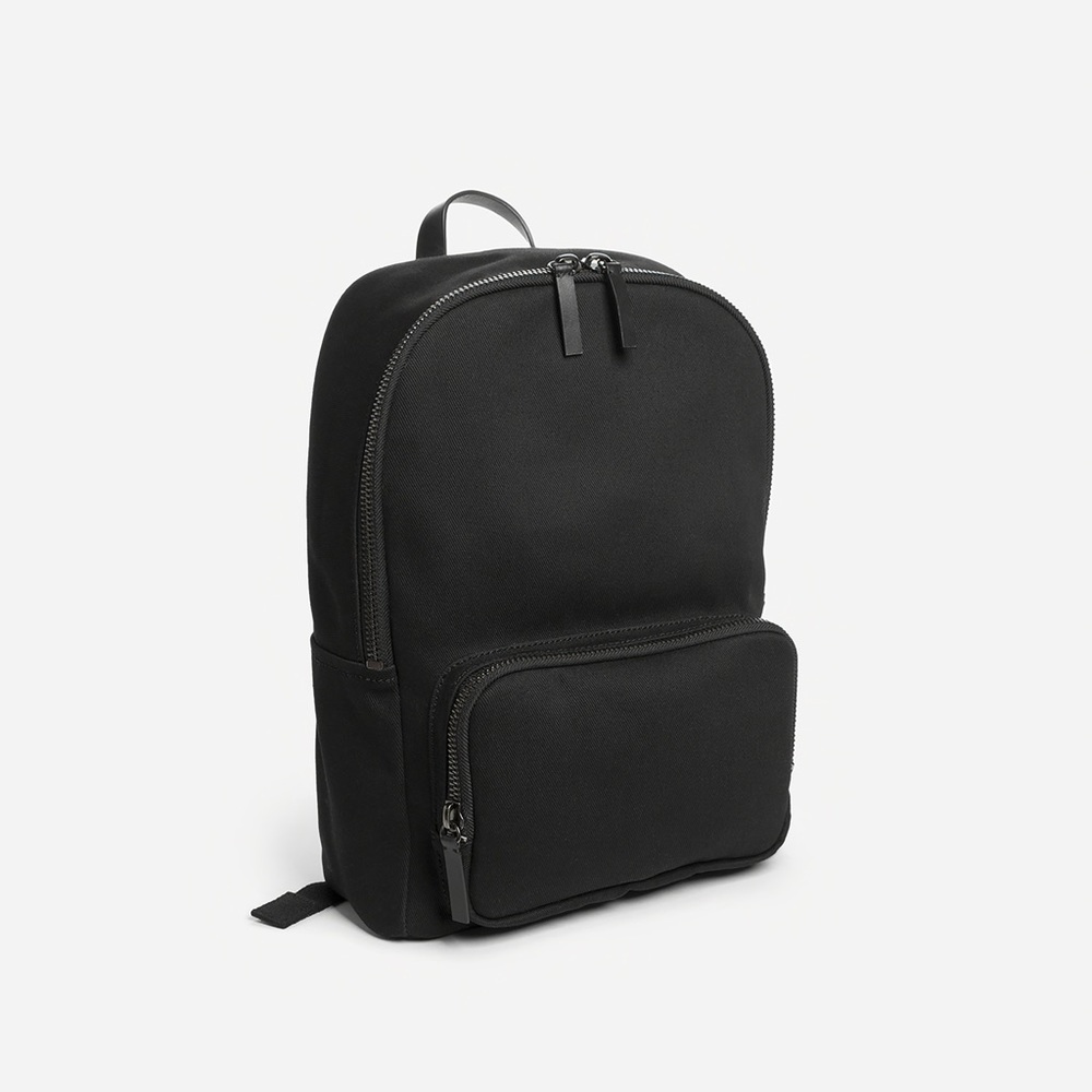 Everlane backpack mini